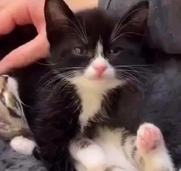 You hav3 a amazing day now