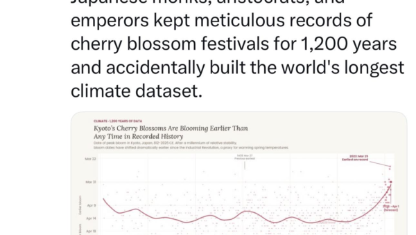 Climate Change Chart / Cherry Blossom Festivals