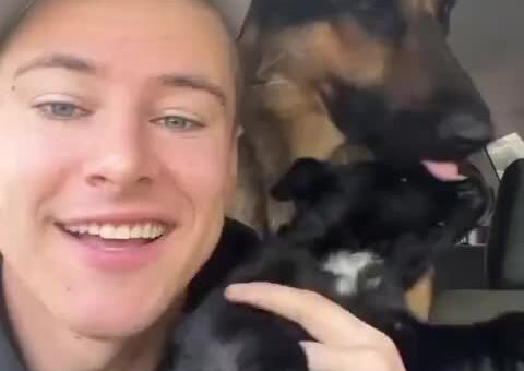 Puppy’s first day at the beach
