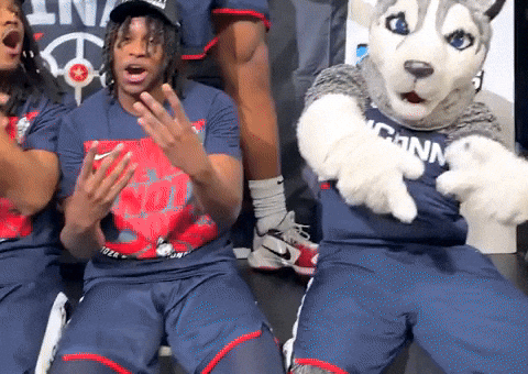 College Basketball Celebration GIF by NCAA March Madness
