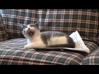 This video is 14 years old but it still rings true