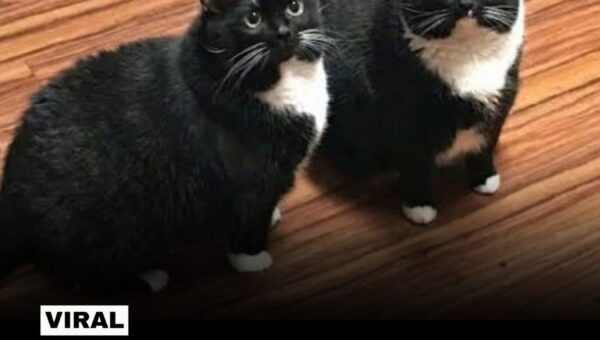 Double Trouble :)