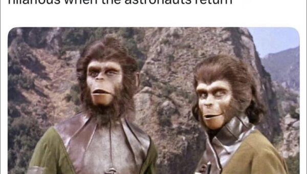 Apes are ready