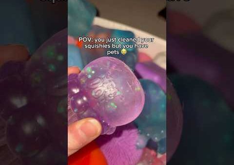 Owning a NeeDoh collection and having pets is not for the weak 🥲