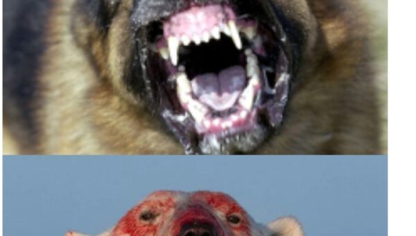 You can easily tell which one is more dangerous