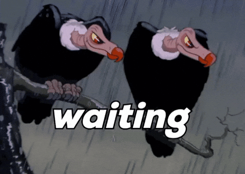 Vulture Waiting