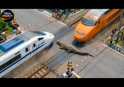 Most Unbelievable Train Moments Caught on Camera | Idiots in Cars