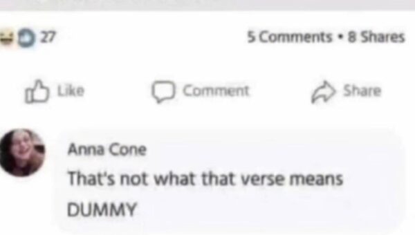 Leviticus 20:13