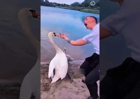 Instant Karma Fails 😂 Vídeos Engraçados