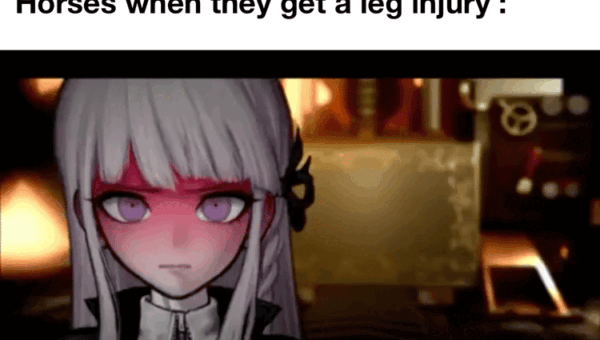 Show me that leg