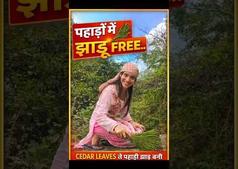 DIY Village Broom Using Pine Leaves☺️#villagelifestyle#ytshorts #pahadi#viralvideo #trendingnow#diy