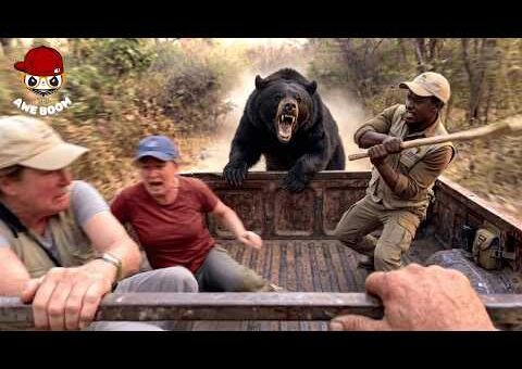 70 Incredible Safari Moments Caught On Camera | Part 2