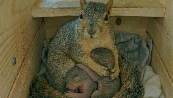 Have some cute for your slow Saturday night