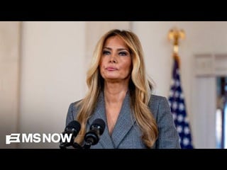 ‘She doesn’t do anything on the fly’: Fmr. Melania Trump official reacts to her Epstein…