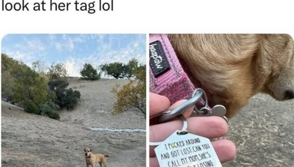 A tag like that was probably earned!! Lmfao!