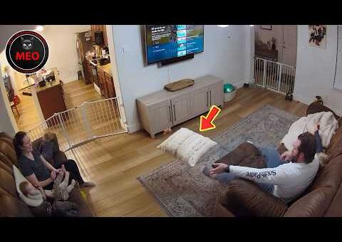 Moments Filmed Seconds Before Disasters | Incredible Moments Caught on Camera