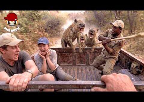 75 Incredible Safari Moments Caught On Camera | Part 3