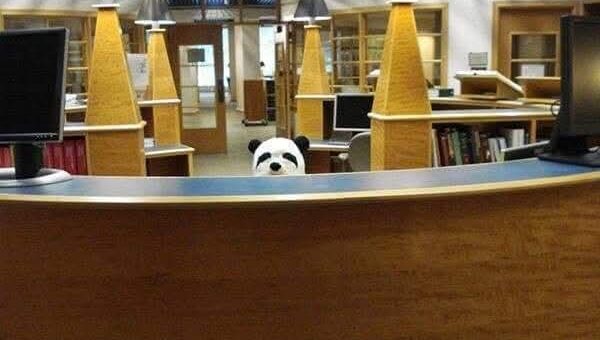 Bored Panda
