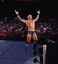 randy orton wwe