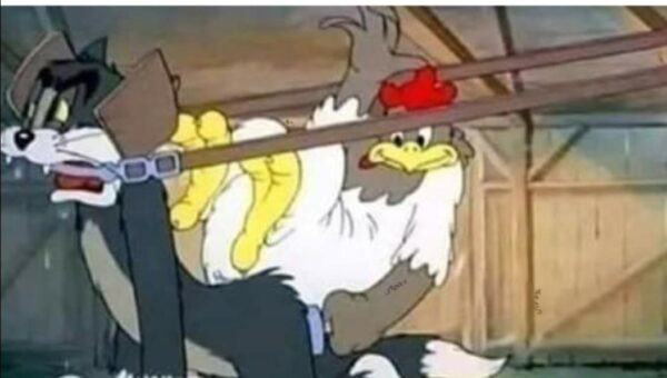 Genuinely don’t remember what episode this is from