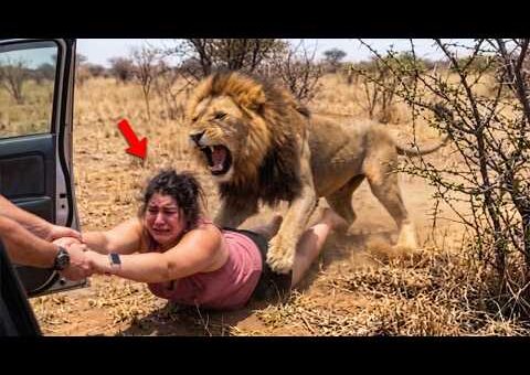 Incredible Safari Moments Caught on Camera #7