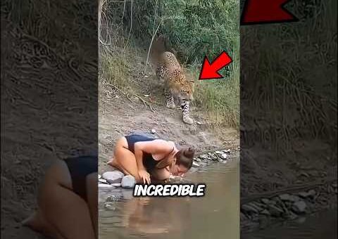 Incredible moments with animals captured on video. #facts #animals #wildlife