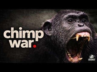 Ugandan chimps are currently fighting a 10-year turf war, defined by baby eating and brutal murder