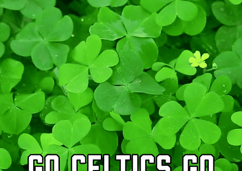 Boston Celtics Sport GIF by Sealed With A