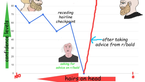 r/bald in a nutshell