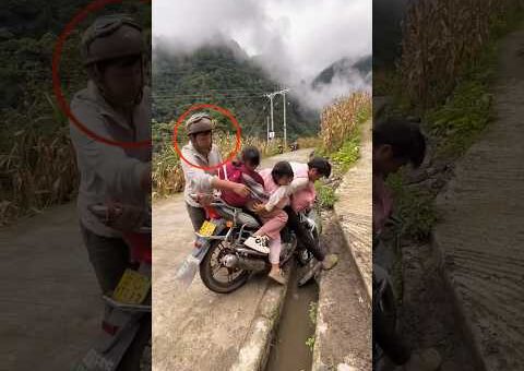#shorts#viralvideo