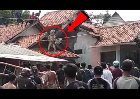 Incredible Moments Caught on Camera for Just over 1 Hour