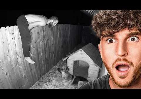The Most Incredible Moments Caught On Camera