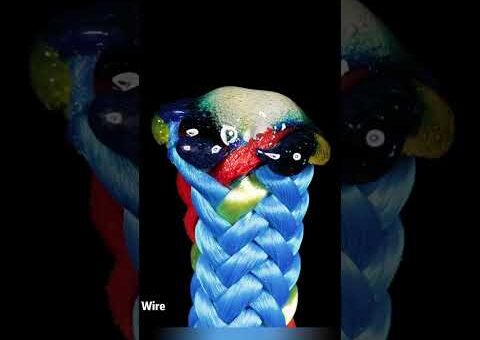 macro compilation #asmr#macro#closeup#relaxing#satisfying