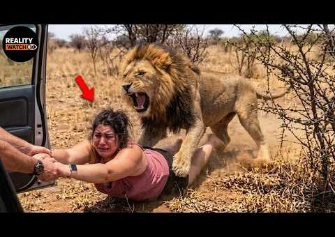 Incredible Safari Moments Caught on Camera