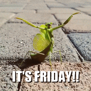 Friday Guy