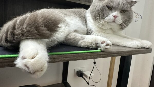 Judging you aggressively, but too lazy to do anything about it