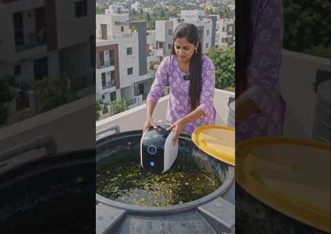 கஷ்டப்படும் அப்பாவுக்காக மகள் கண்டுபிடித்த மெஷின் 🥺 #trendingnow #viral #villagelife