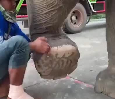 That’s Gotta Feel Better