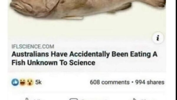 Australians Eating Fish Unknown To Science