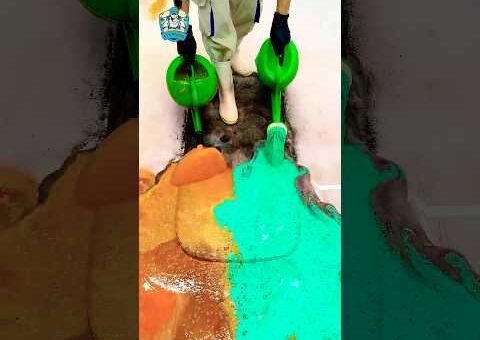 This Rug Needed Help (The Transformation is Perfection) #satisfying #asmr #cleaning