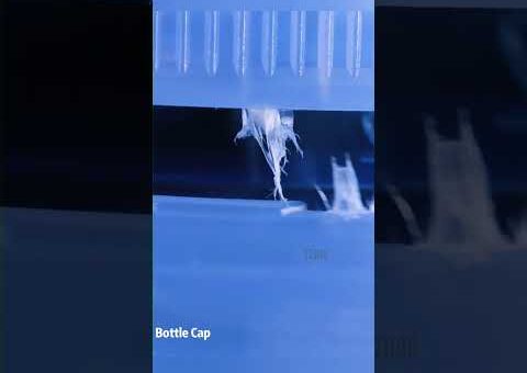macro compilation #asmr#macro#closeup#relaxing#satisfying