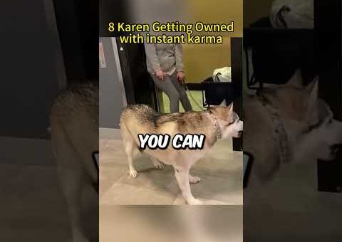 Karens Getting Instant Karma Moments #karen #karma