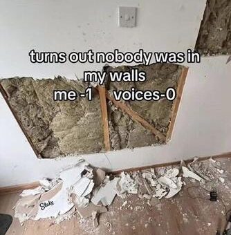 No one was in my walls