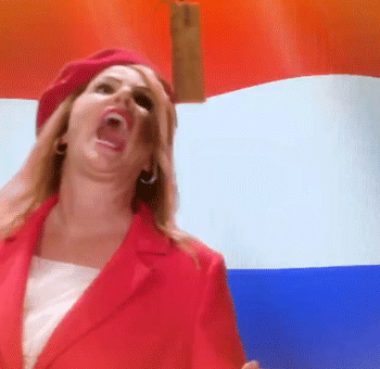 Willem Alexander Kings Day GIF by RTL