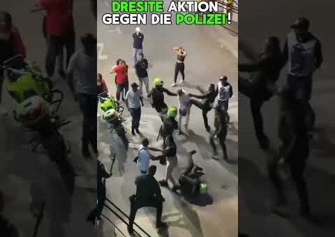 Warum du NIEMALS die Polizei herausfordern solltest!