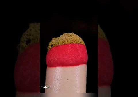 macro compilation #asmr#macro#closeup#relaxing#satisfying
