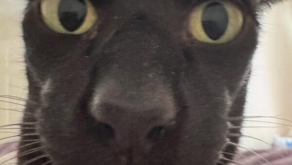 Hey. You