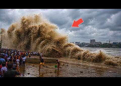 Most Unbelievable Nature Moments Ever Caught on Camera