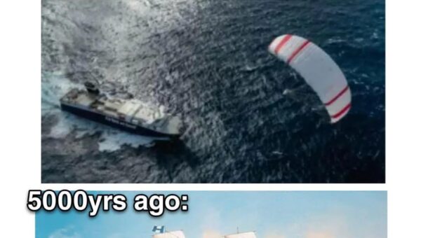 They figured out a way to sail without paying fifty men with rum and scurvy