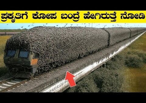 ಪ್ರಕೃತಿಗೆ ಕೋಪ ಬಂದರೆ ಹೇಗಿರುತ್ತೆ ನೋಡಿ|Unbelievable & Amazing Natural Moments Caught on Camera